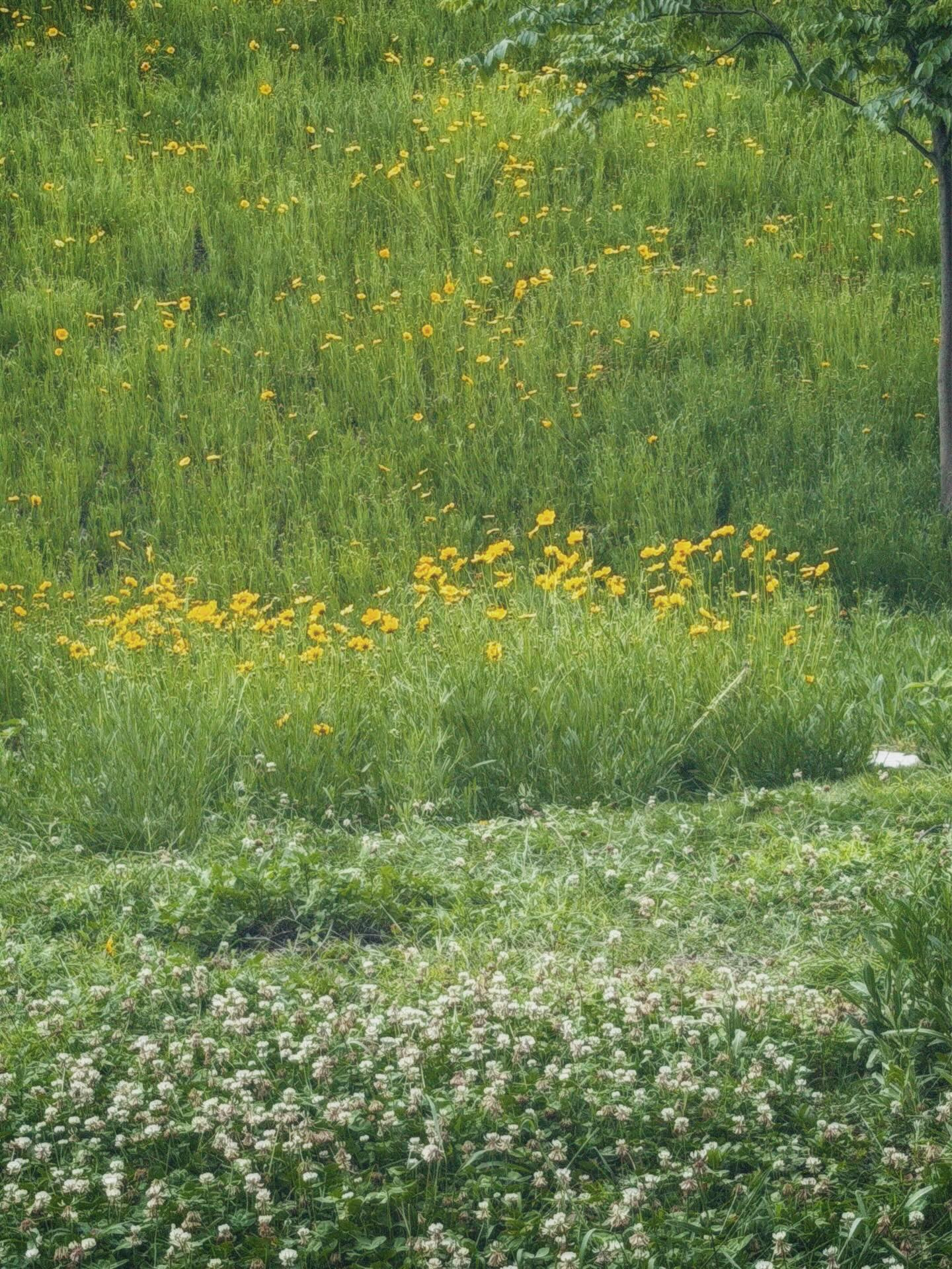 DXl1y7NE_-n_04|375x500