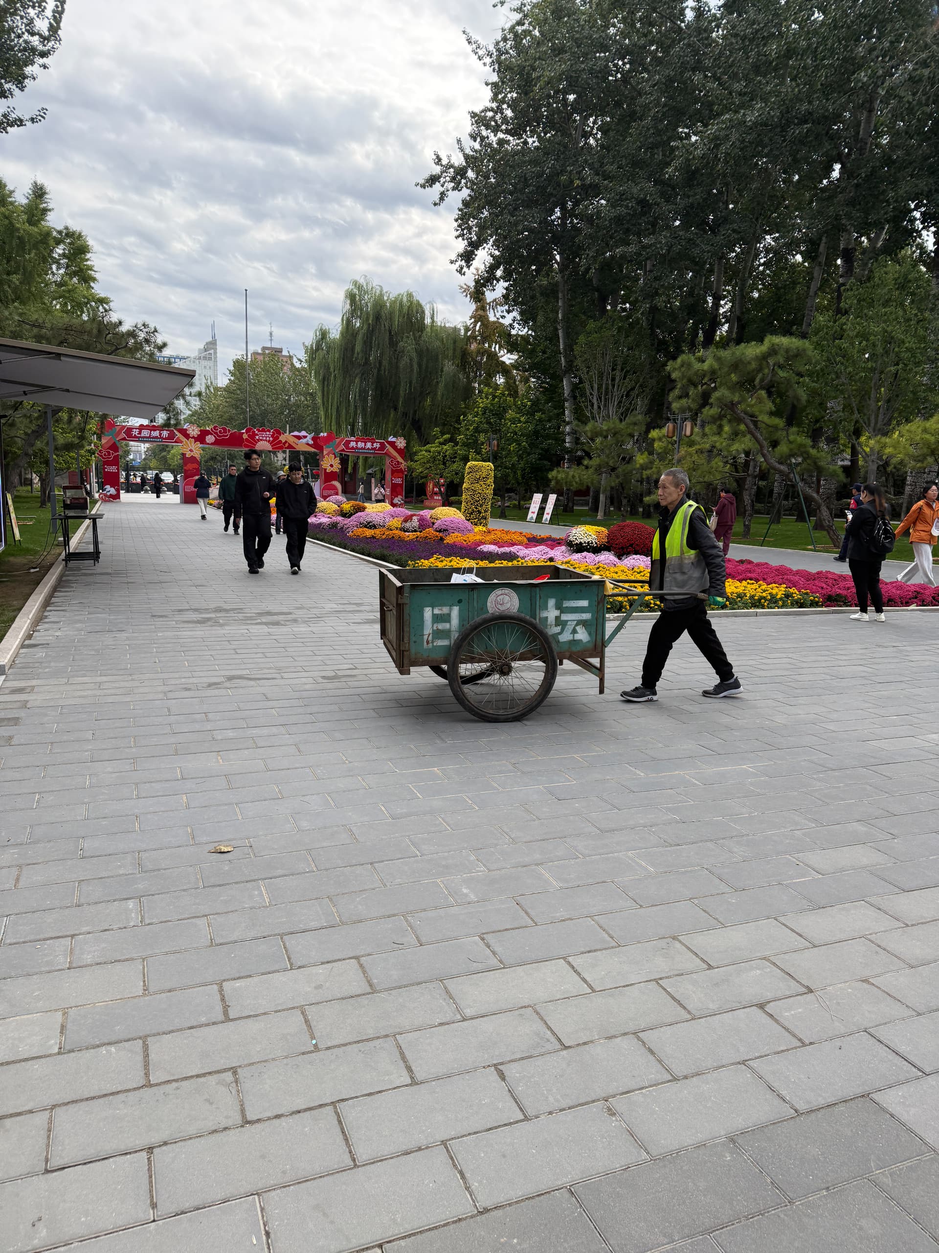 IMG_7629|375x500