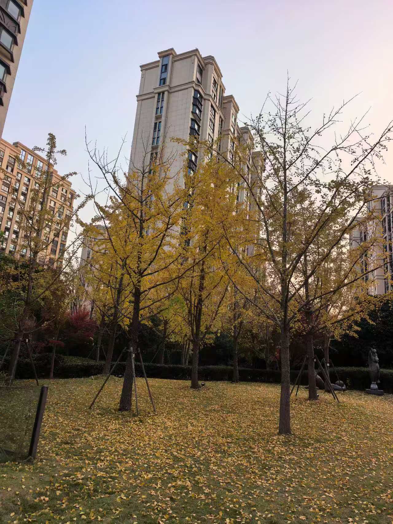 微信图片_20251203085010_8_706|375x500
