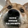 不定积分要加C