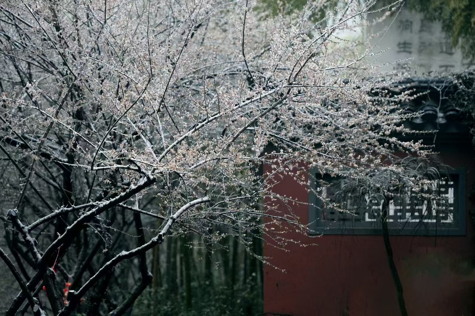 1000026158|690x460