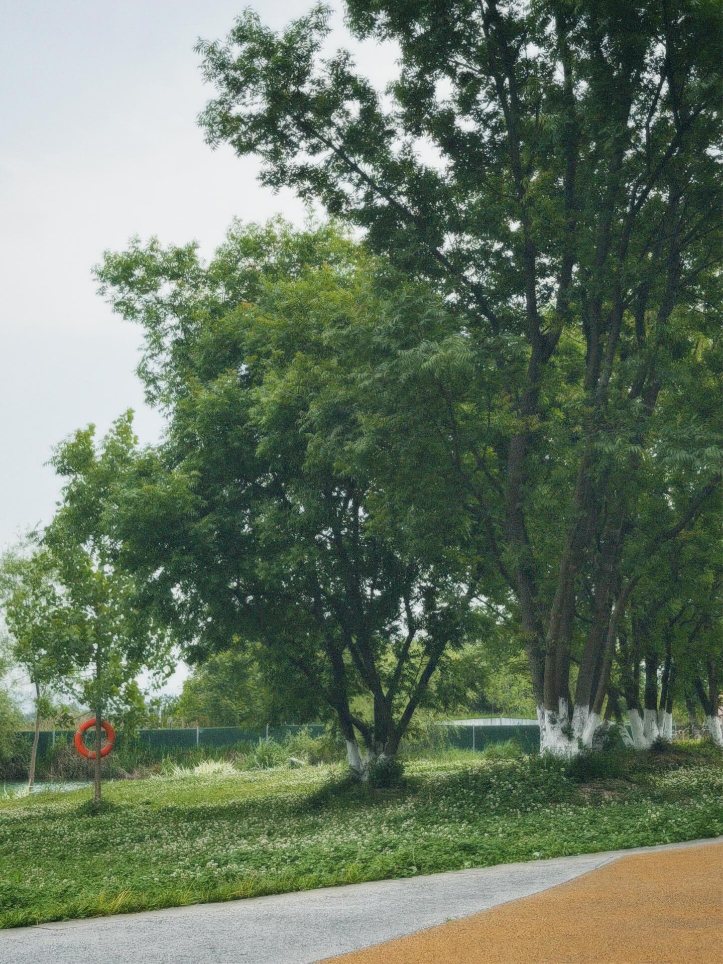 DXl1y7NE_-n_05|375x500